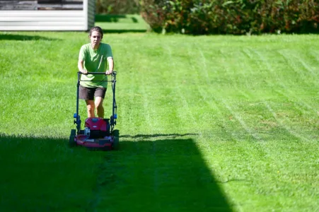 Being neighborly